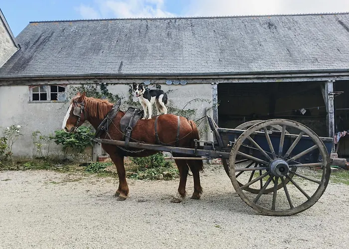 Chambre Des Prés à la ferme de Franqueville